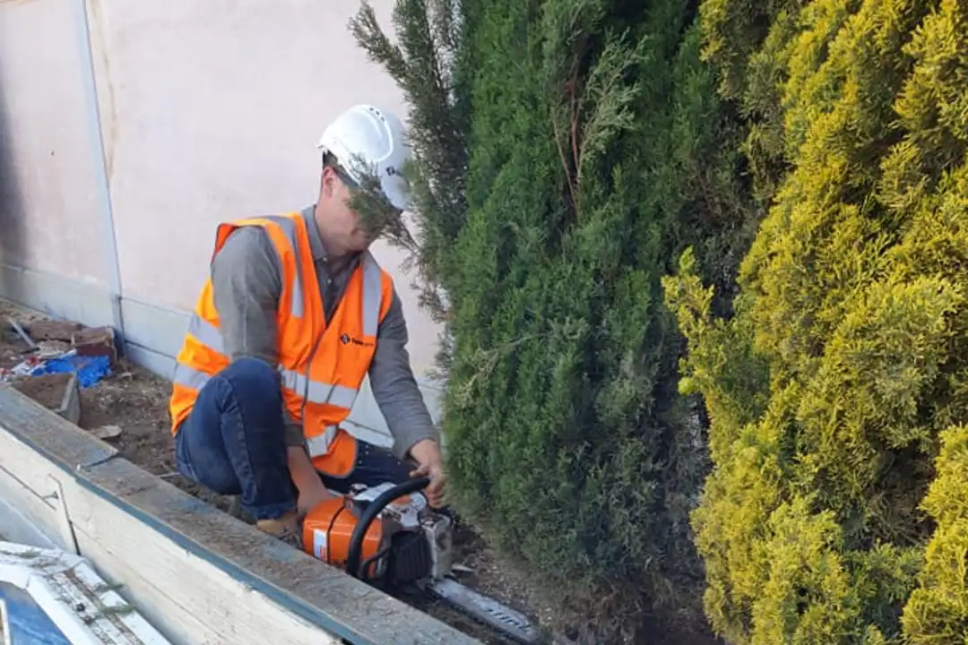 Tree Pruning Adelaide