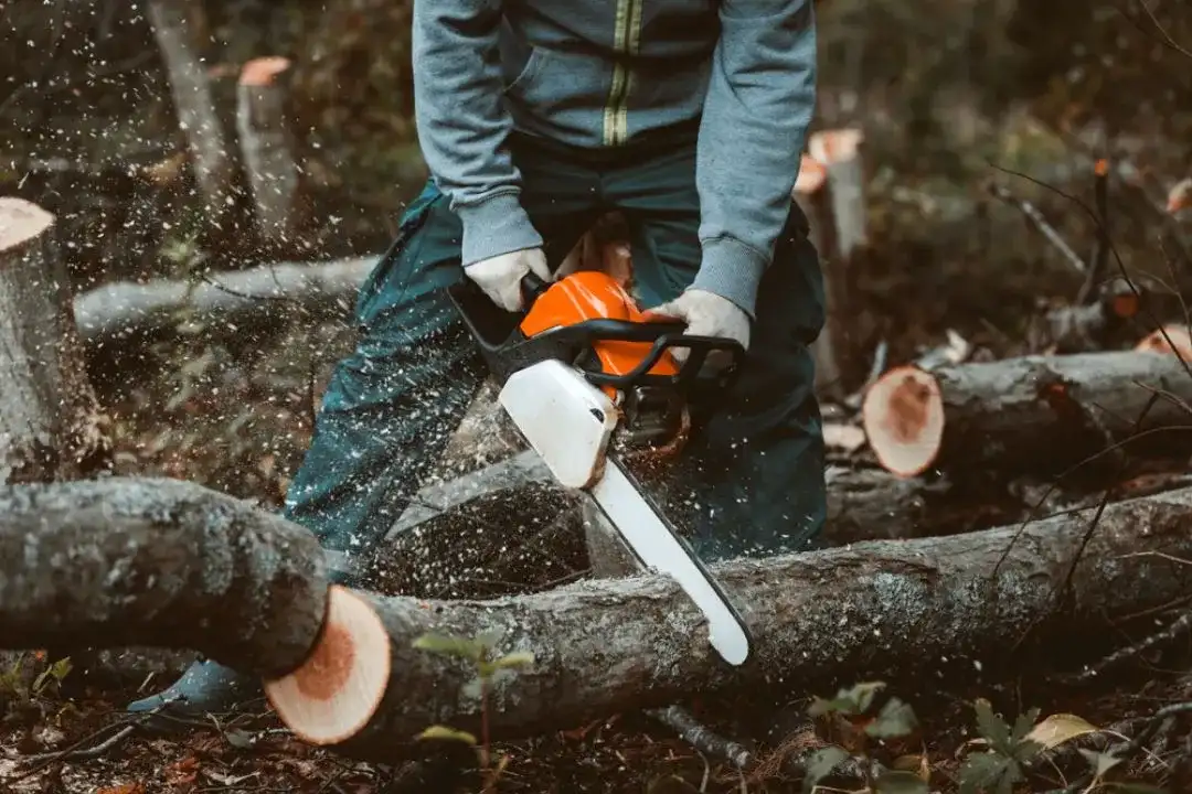 Tree Removal Kensington