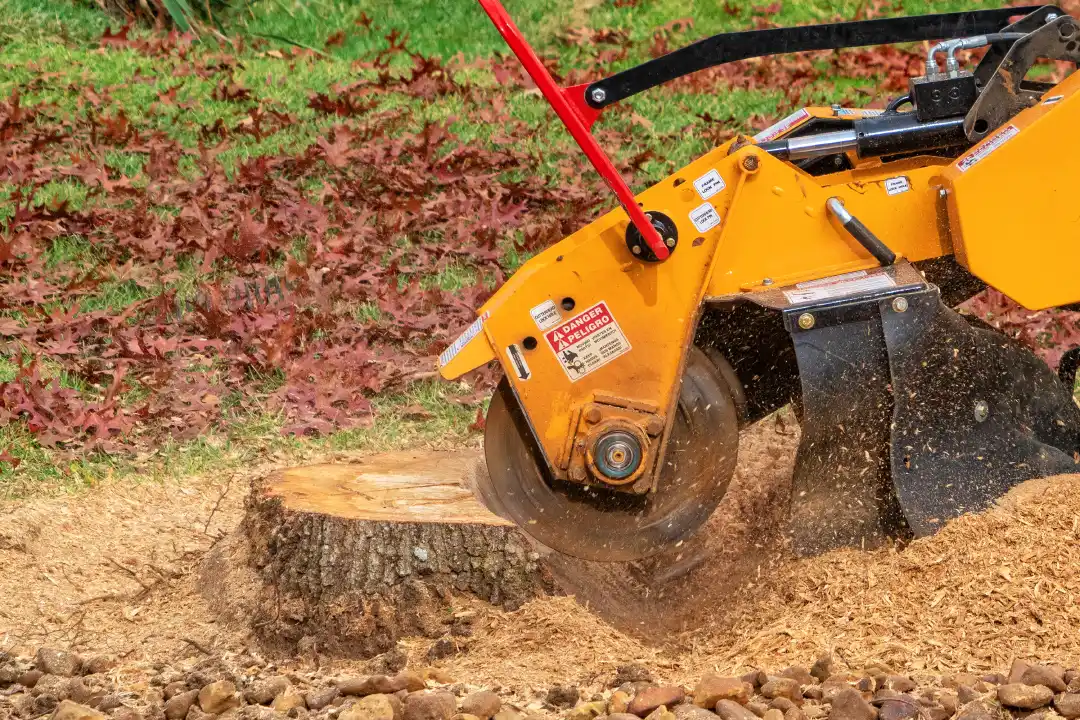 Stump Grinding Adelaide