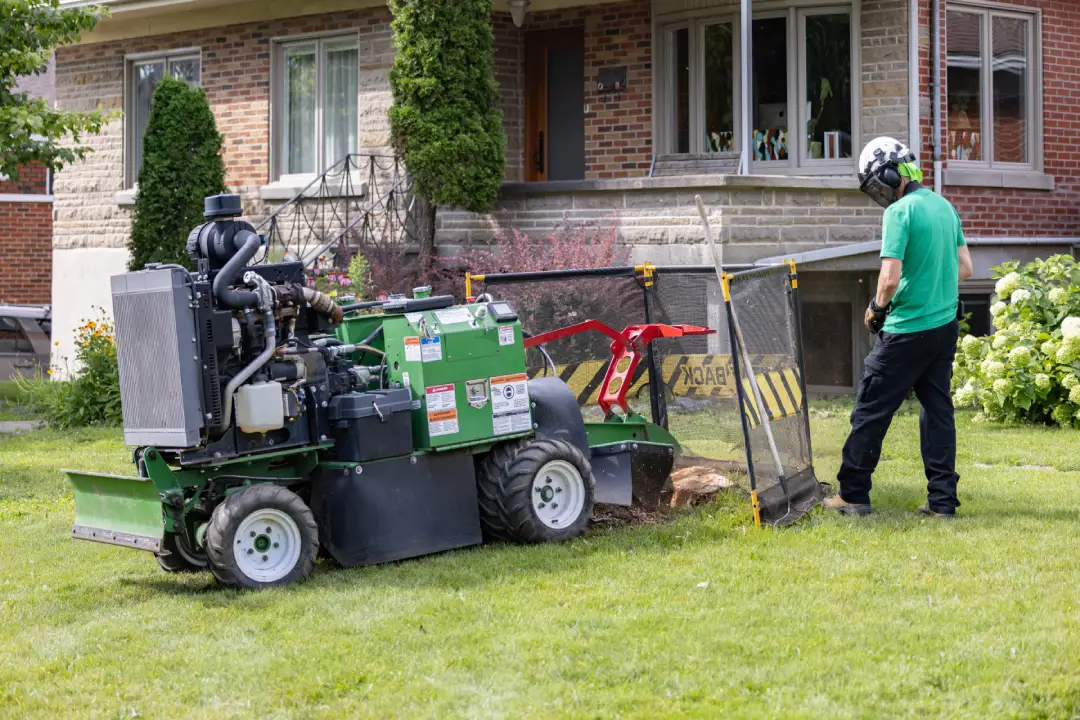 Stump Grinding Adelaide